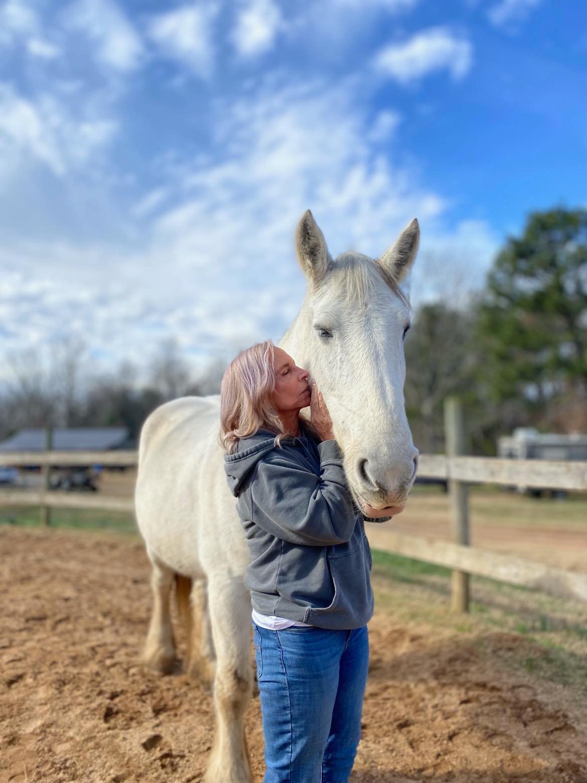 horse therapy